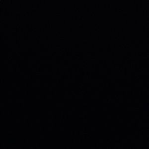 Meet your Posher, Ingrid